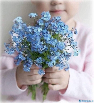 Доброго утра Хорошего дня Спокойной ночи  - image (5).jpeg