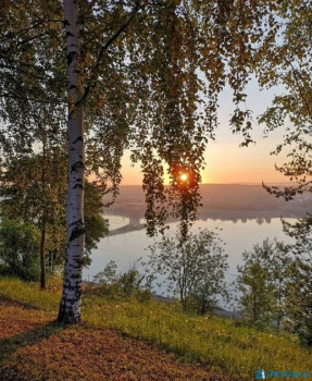 Доброго утра Хорошего дня Спокойной ночи  - IMG_20200626_222550.jpg