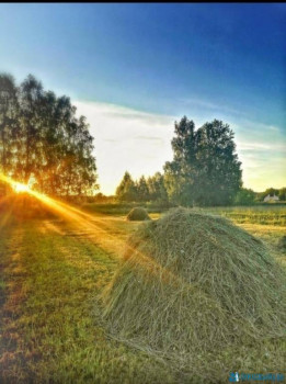 Доброго утра Хорошего дня Спокойной ночи  - IMG_20200626_222451.jpg