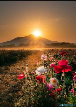 Доброго утра Хорошего дня Спокойной ночи  - IMG_20200626_222255.jpg