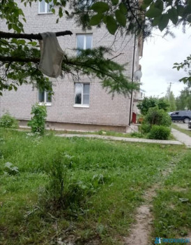 Чем сегодня занимались - IMG_20200630_190227.jpg