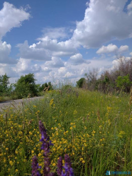 Чем сегодня занимались - IMG_20200628_154052_1.jpg