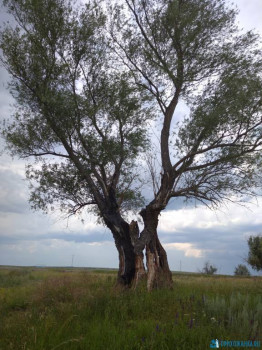 Чем сегодня занимались - IMG_20200628_170025_1.jpg