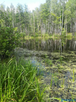 Чем сегодня занимались - IMG_20200701_114944.jpg