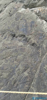 Чем сегодня занимались - 20200703_142026.jpg