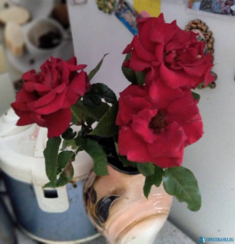 Чем сегодня занимались - 20200710_193139.jpg