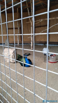 Чем сегодня занимались - 20200711_114254.jpg