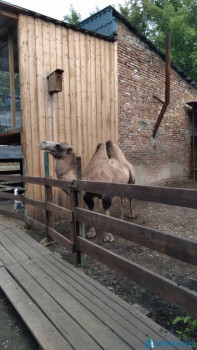 Чем сегодня занимались - 20200711_113916.jpg