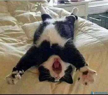 Доброго утра Хорошего дня Спокойной ночи  - IMG_20200711_232734.jpg