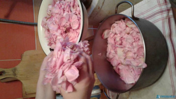 Заготовки на зиму - 20200710_203948[1].jpg