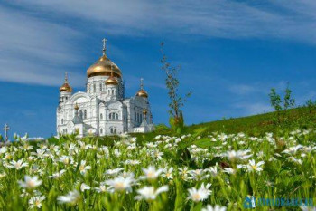 Доброго утра Хорошего дня Спокойной ночи  - e806b97c3a24282a64da0ee6c2c955e7.jpg