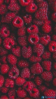 Доброго утра Хорошего дня Спокойной ночи  - xt6KIlfjt78.jpg