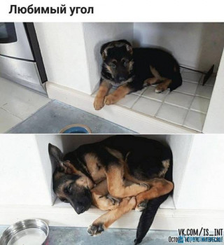 Из ВКонтактика с приветиком  - 1594989637.jpg