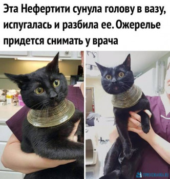 Из ВКонтактика с приветиком  - 1595053393.jpg