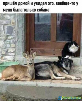 Из ВКонтактика с приветиком  - w1wJQXDRJKc.jpg