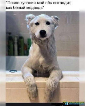 Из ВКонтактика с приветиком  - 1595183968.jpg