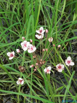 Чем сегодня занимались - 20200729_125440.jpg