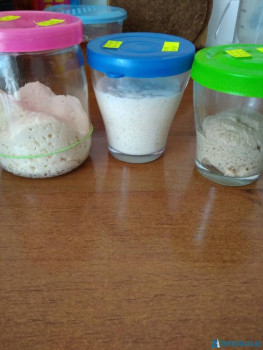 Как печь хлеб в духовке? - IMG_20200811_103539.jpg