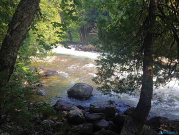 Чем сегодня занимались - 20200809_170035_HDR.jpg