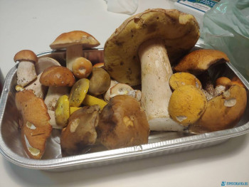 Чем сегодня занимались - 20200810_140659_HDR.jpg