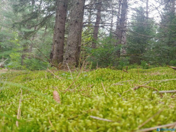 Чем сегодня занимались - 20200811_111841.jpg