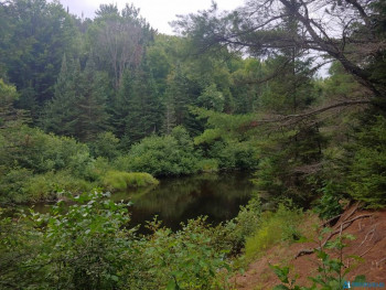 Чем сегодня занимались - 20200811_113459_HDR.jpg