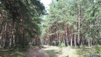 Чем сегодня занимались - 20200816_133434.jpg