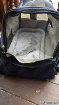 Клуб фелинологов-любителей  - 20200816_141041.jpg