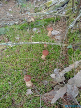 Чем сегодня занимались - 20200819_134948~2.jpg