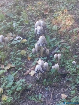 Чем сегодня занимались - IMG_20200819_125014.jpg