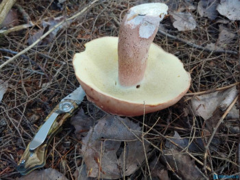 Чем сегодня занимались - 20200819_133807.jpg