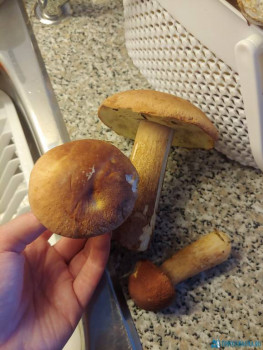 Чем сегодня занимались - 20200819_175702_HDR.jpg