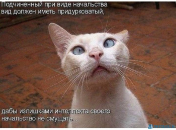 Из ВКонтактика с приветиком  - IMG_20200822_004328.jpg