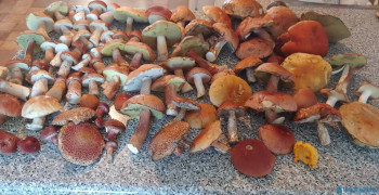 Чем сегодня занимались - 20200822_163219~2.jpg