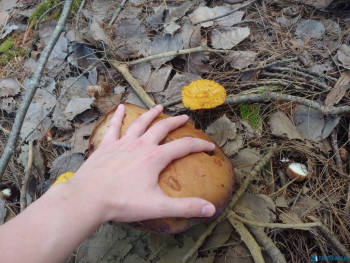 Чем сегодня занимались - 20200822_121537.jpg