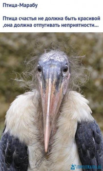 Из ВКонтактика с приветиком  - 1598384304.jpg