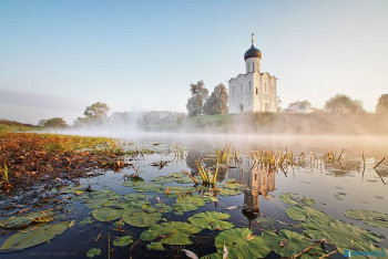 Доброго утра Хорошего дня Спокойной ночи  - i1439121745.jpg