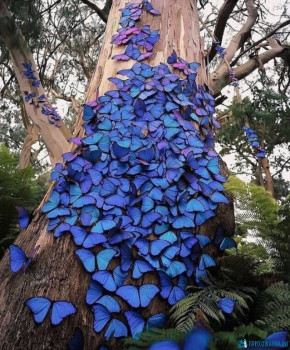 Изречения Святых отцов и учителей Церкви - IMG_20200724_233926.jpg