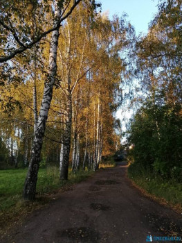 Чем сегодня занимались - IMG_20200919_175551.jpg