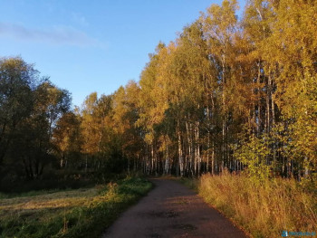 Чем сегодня занимались - IMG_20200919_175355.jpg