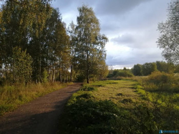 Чем сегодня занимались - IMG_20200919_171240.jpg