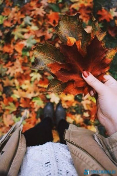 Аватарки. Наши интернет-лица-2 - 1600626024.jpg