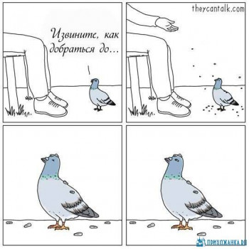 Из ВКонтактика с приветиком  - 1600627236.jpg