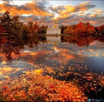 Доброго утра Хорошего дня Спокойной ночи  - IMG_20200927_203136.jpg
