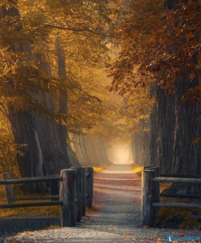 Доброго утра Хорошего дня Спокойной ночи  - IMG_20200927_203044.jpg