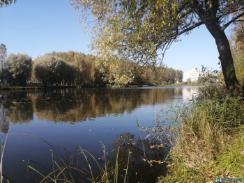 Чем сегодня занимались - IMG_20200927_125516.jpg