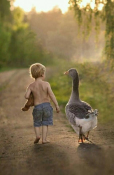 Воспитание и развитие детей. Детская психология. Ссылки. - 1601493032.jpg