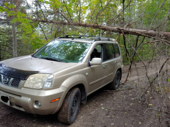 Грибы требуют жертв!