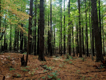 Чем сегодня занимались - 20201001_111522~2.jpg