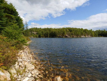 Забрела в лес и нашла красивое озеро.